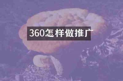 360怎样做推广