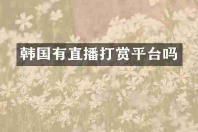 韩国有直播打赏平台吗