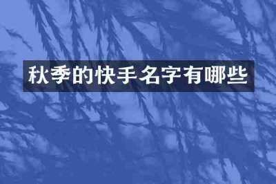 秋季的快手名字有哪些
