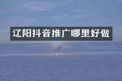 辽阳抖音推广哪里好做