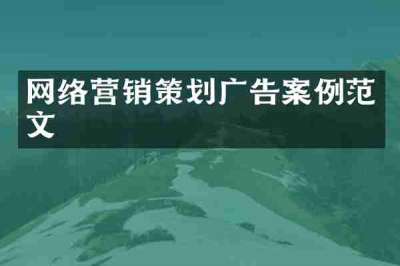 网络营销策划广告案例范文