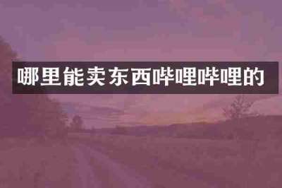 哪里能卖东西哔哩哔哩的
