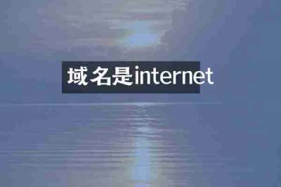 域名是internet