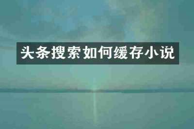 头条搜索如何缓存小说