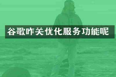 谷歌咋关优化服务功能呢