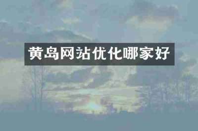 黄岛网站优化哪家好