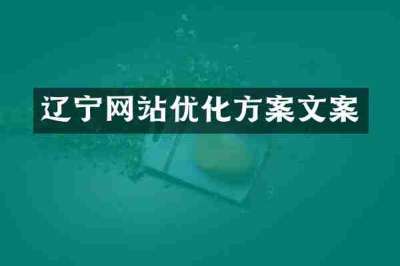 辽宁网站优化方案文案