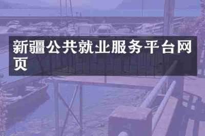 新疆公共就业服务平台网页