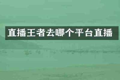 直播王者去哪个平台直播