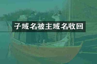 子域名被主域名收回