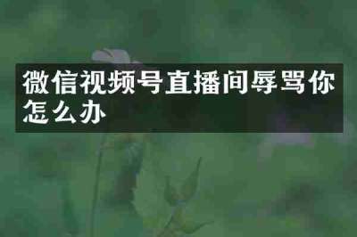 微信视频号直播间辱骂你怎么办