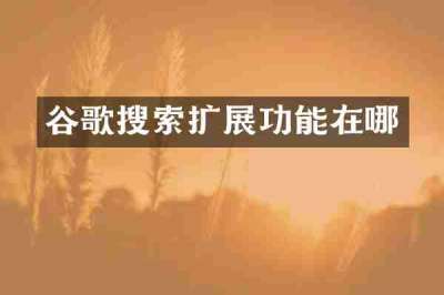 谷歌搜索扩展功能在哪