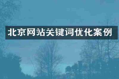 北京网站关键词优化案例