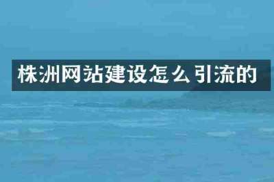 株洲网站建设怎么引流的
