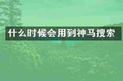 什么时候会用到神马搜索