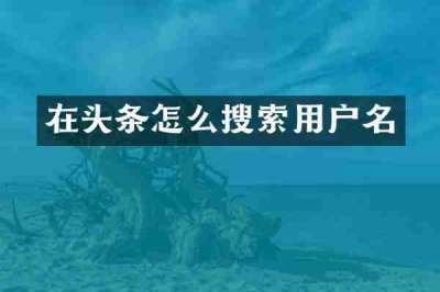 在头条怎么搜索用户名