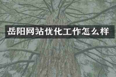 岳阳网站优化工作怎么样