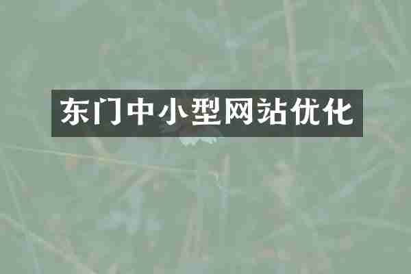 东门中小型网站优化