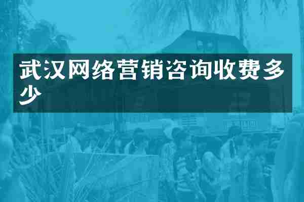 武汉网络营销咨询收费多少