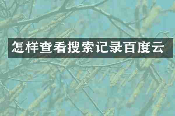 怎样查看搜索记录百度云