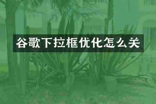 谷歌下拉框优化怎么关