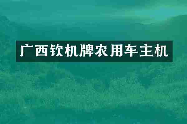 广西钦机牌农用车主机