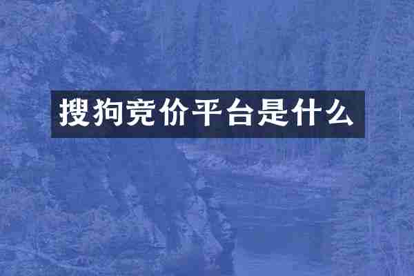 搜狗竞价平台是什么