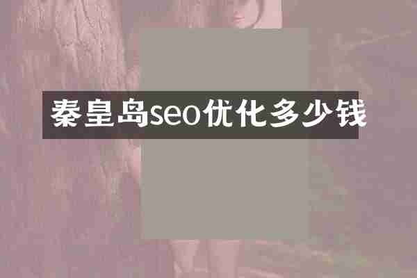 秦皇岛seo优化多少钱