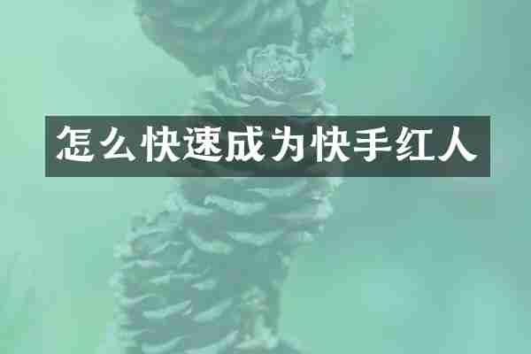 怎么快速成为快手红人