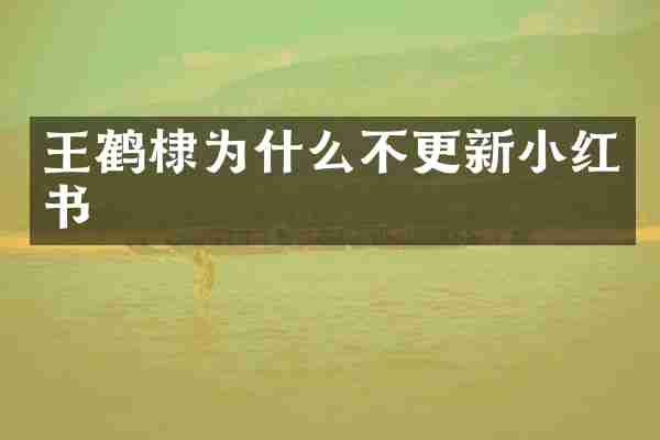 王鹤棣为什么不更新小红书