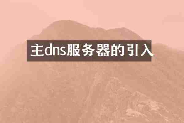 主dns服务器的引入
