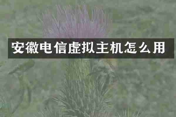 安徽电信虚拟主机怎么用