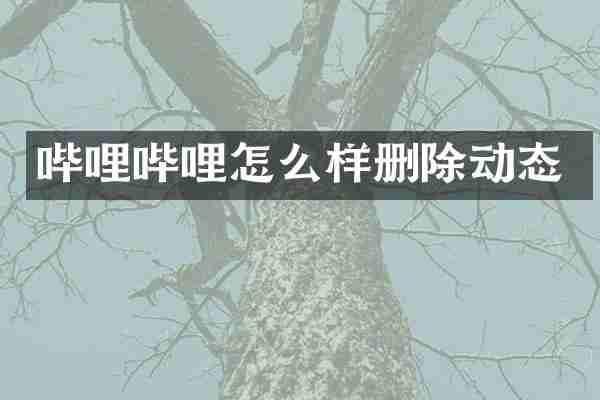 哔哩哔哩怎么样删除动态