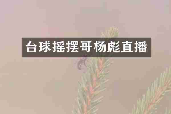 台球摇摆哥杨彪直播