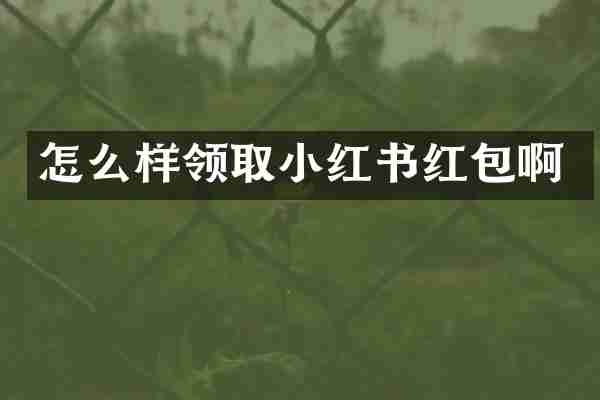 怎么样领取小红书红包啊