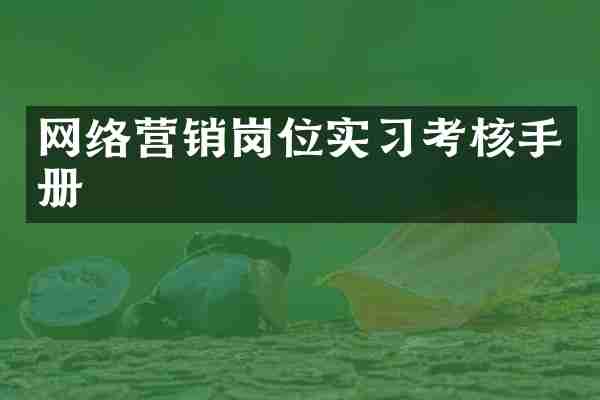网络营销岗位实习考核手册