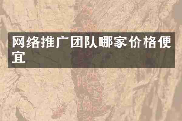 网络推广团队哪家价格便宜