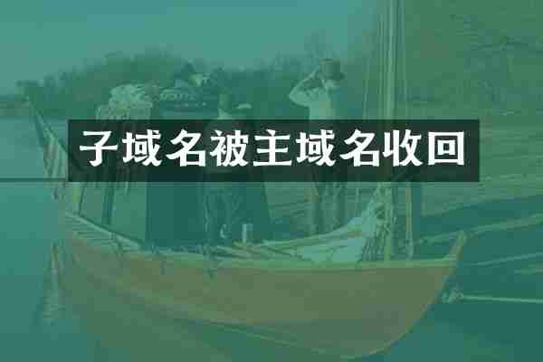 子域名被主域名收回