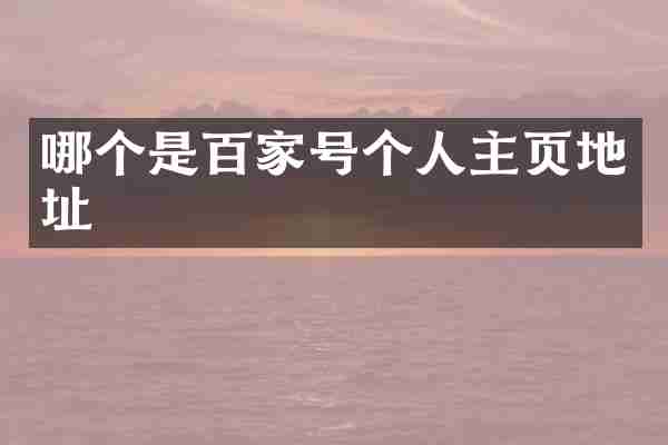 哪个是百家号个人主页地址