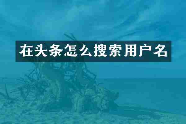 在头条怎么搜索用户名