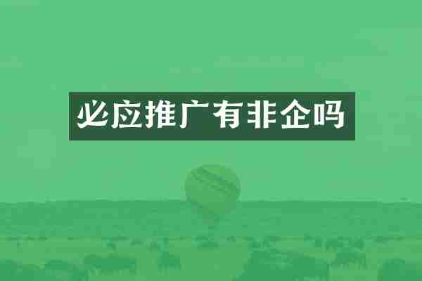 必应推广有非企吗
