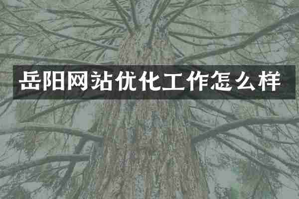 岳阳网站优化工作怎么样
