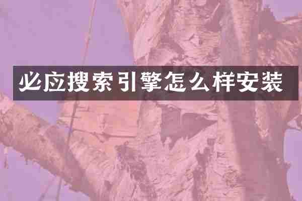 必应搜索引擎怎么样安装