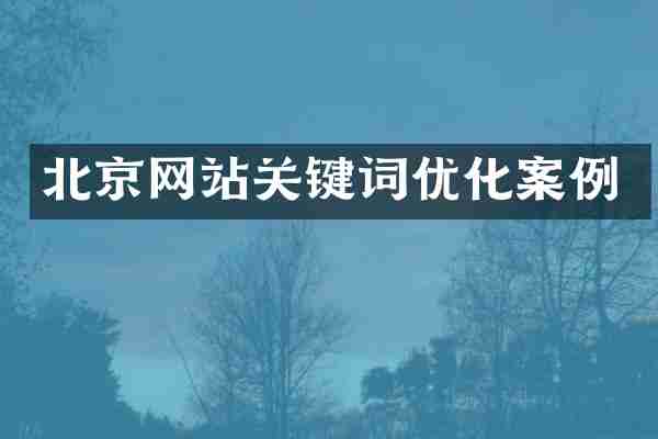 北京网站关键词优化案例
