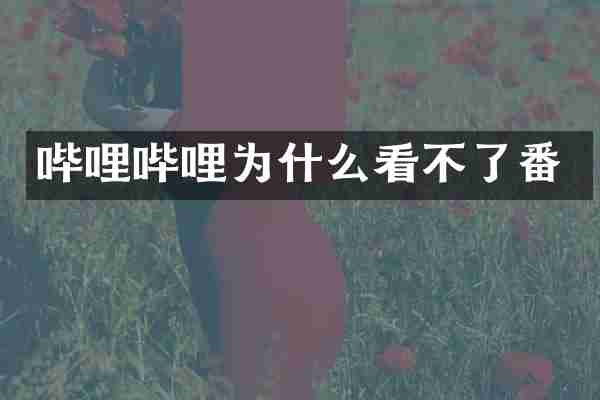 哔哩哔哩为什么看不了番