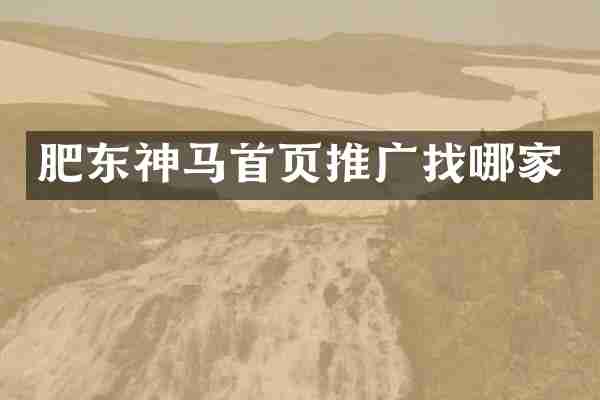 肥东神马首页推广找哪家