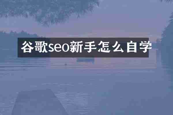 谷歌seo新手怎么自学
