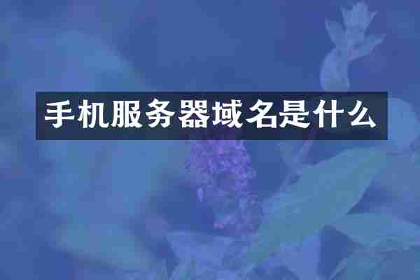 手机服务器域名是什么