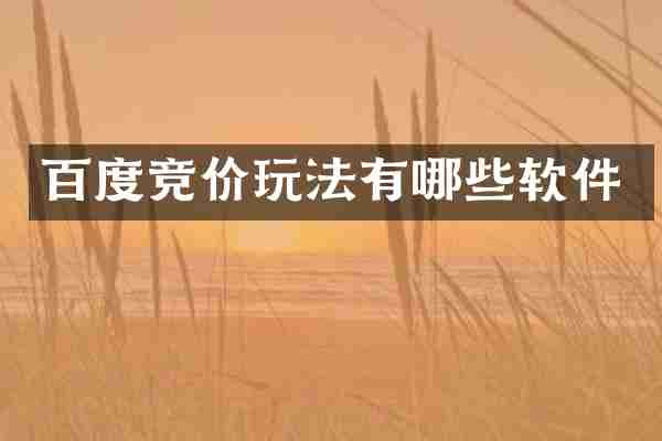 百度竞价玩法有哪些软件