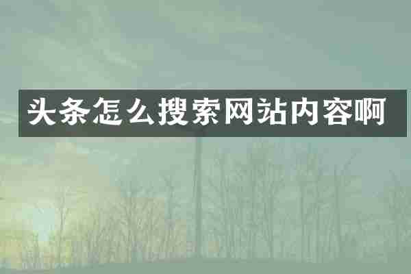 头条怎么搜索网站内容啊